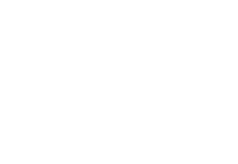 Model Launch logo
