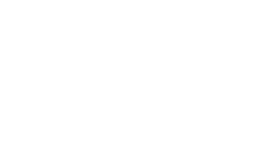 Model Launch logo